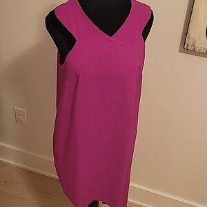 Rachel Roy Dress